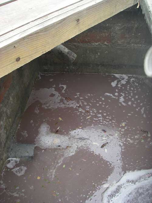 A gray water settling tank gray water settling tank