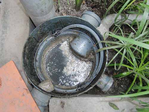 grey water grease trap