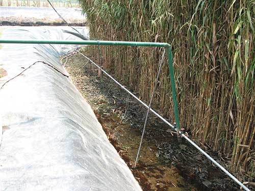 constructed wetlands gray water constructed wetlands gray water