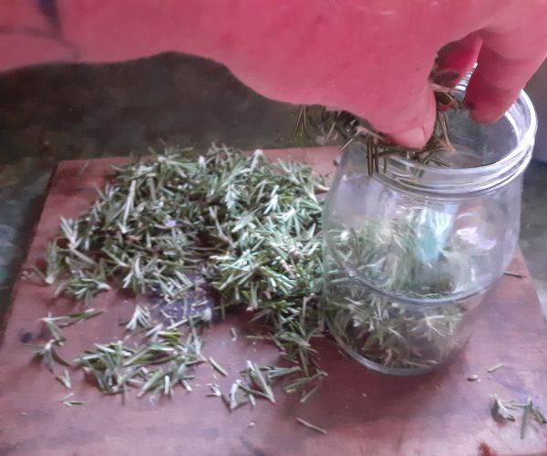 Putting Straining Rosemary in a jar