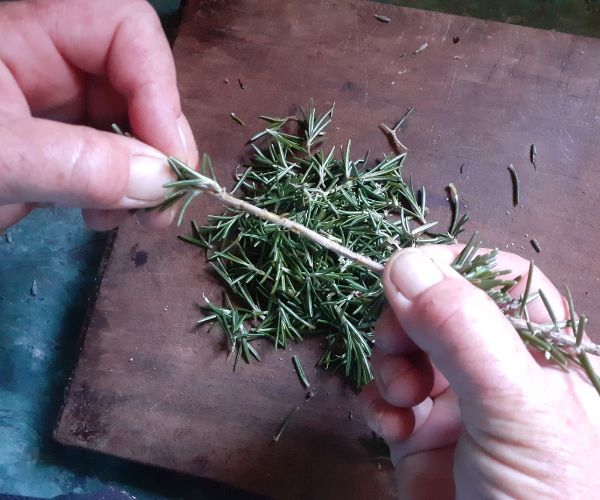 Strip Rosemary Leaves from Stemmary