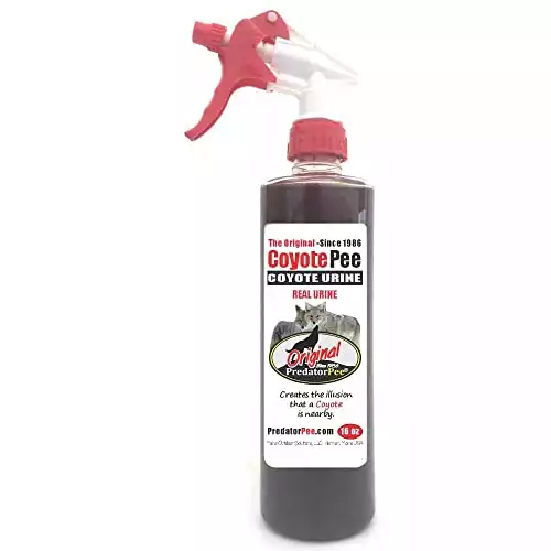 Predator Pee 100% Coyote Urine - Territorial Marking Scent - Creates Illusion That Coyote is Nearby - 16 oz