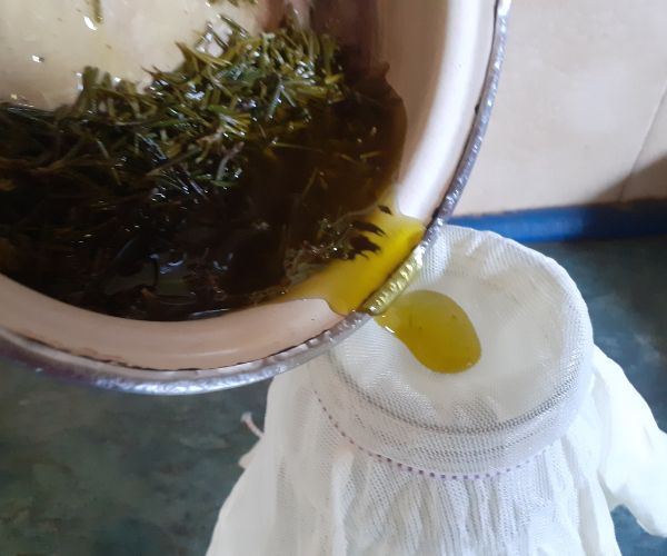 Rosemary in a jar