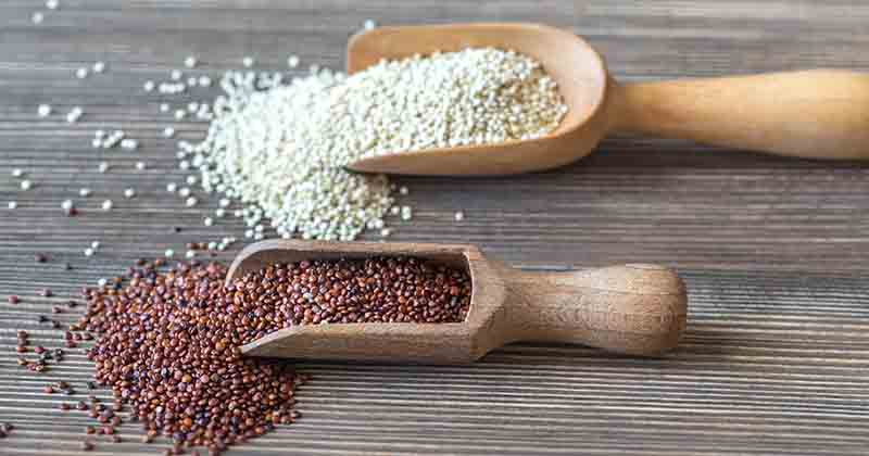 how to store quinoa long term