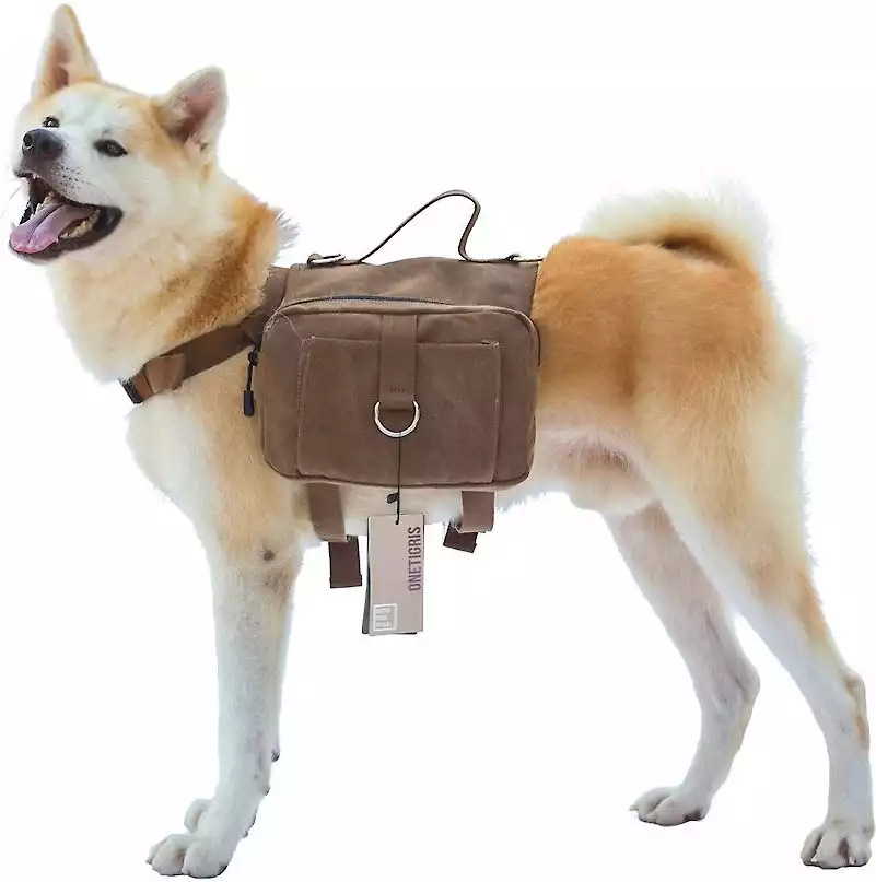 Cotton Canvas Dog Backpack