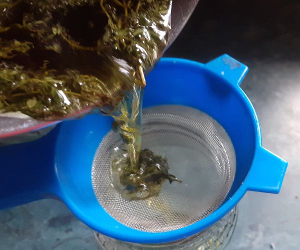 Strain oil using a tea strainer 