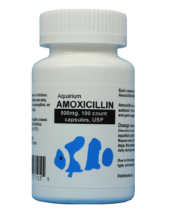 Fish Mox = Amoxicillin