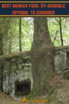 exterior of a concrete bunker in the woods