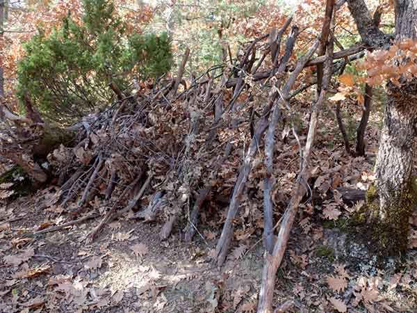 Adding coverage over A-frame debris shelter frame