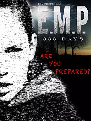 E.M.P. 333 Days - 2019