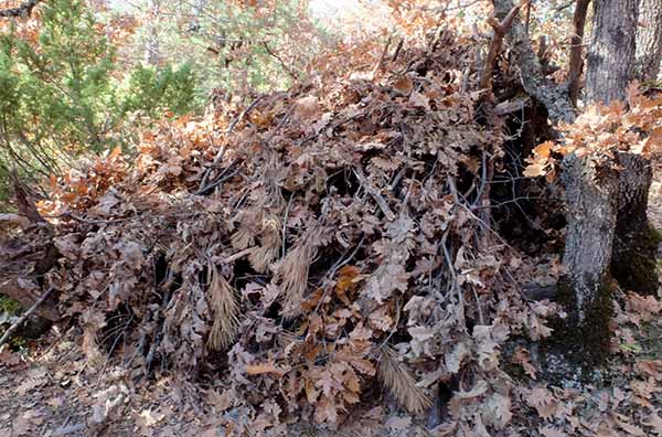 Adding debris coverage on natural survival shelter