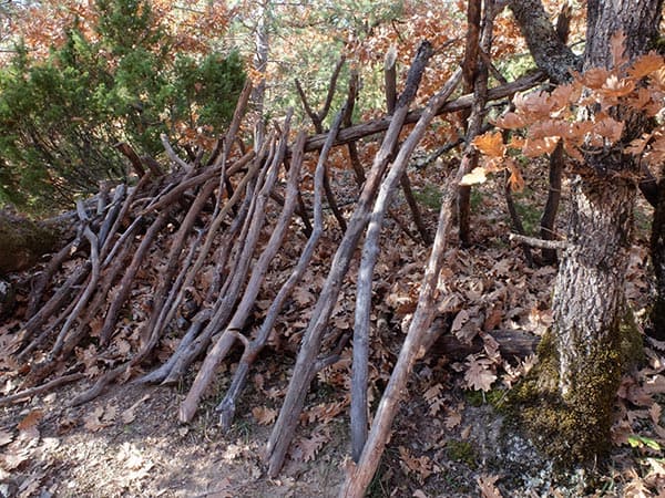 Adding ribs to A-frame debris shelter