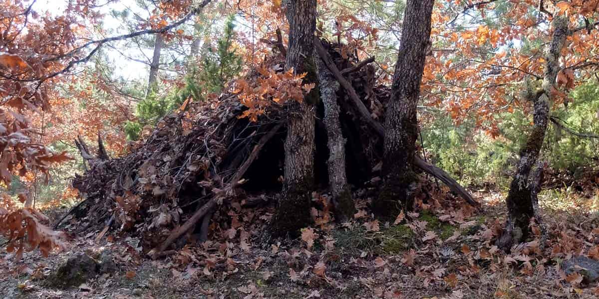 A-frame debris survival shelter with no supplies