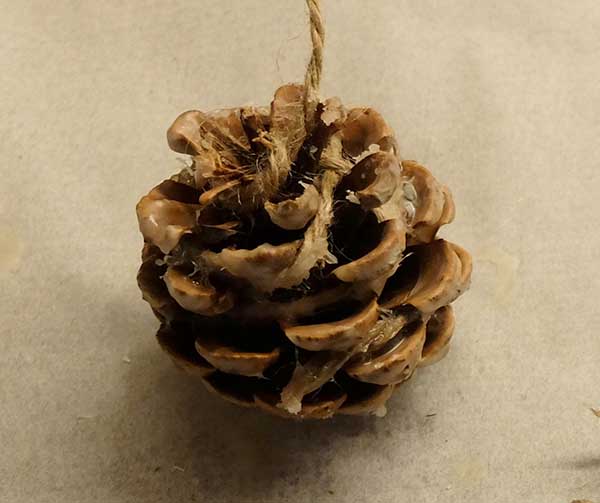 pinecone wax fire starter