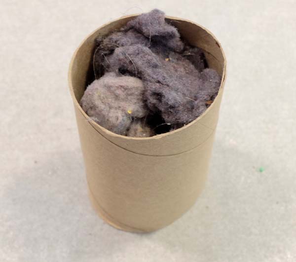 toilet paper roll and dryer lint fire starter