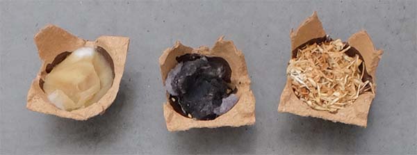 wax egg carton fire starters