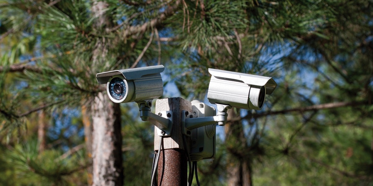 Security camera in the woods