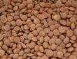 How to Store Dried Lentils (How Long Do They Last?)