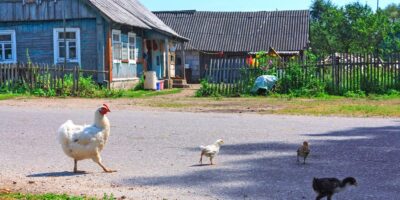 What is Homesteading and Should You Consider It?