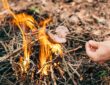 11 Types of Survival Fire for Every Situation