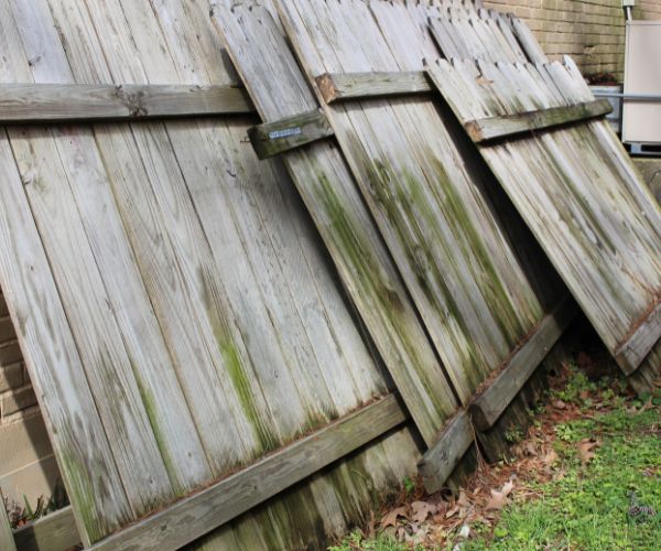 fence panels