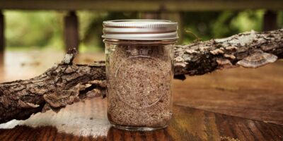 How to Make Turkey Tail Mushroom Powder (+ Benefits)