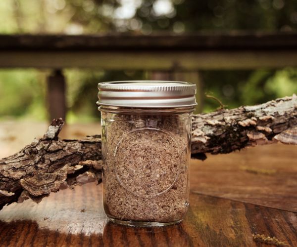 Turkey tail mushroom powder