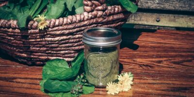 How to Make Greens Powder From Foraged Plants