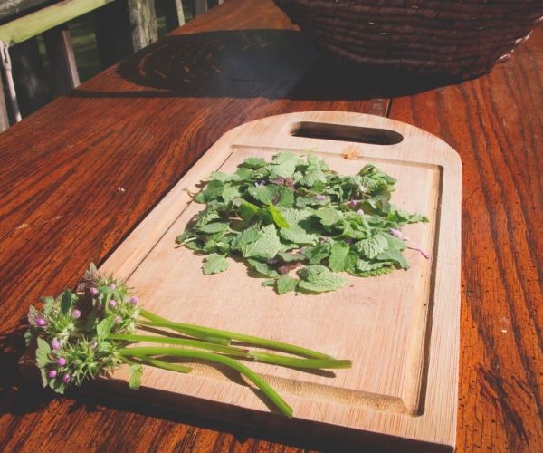 Trim the purple dead nettle leaves