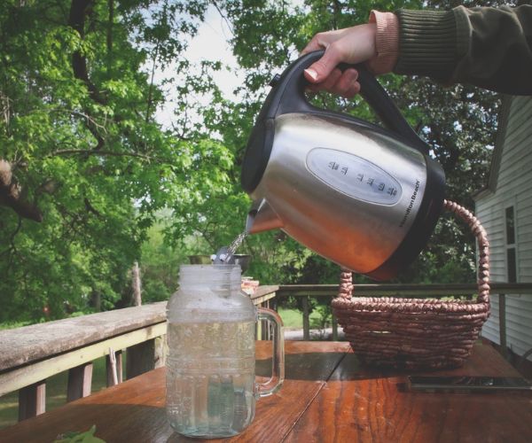 pouring purple dead nettle tea