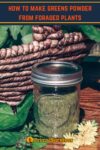 jar of diy greens powder made from foraged plants