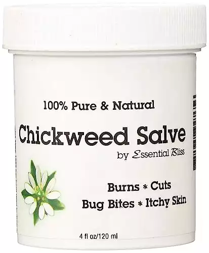 Chickweed Salve