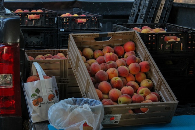 farmers market in Arkansas