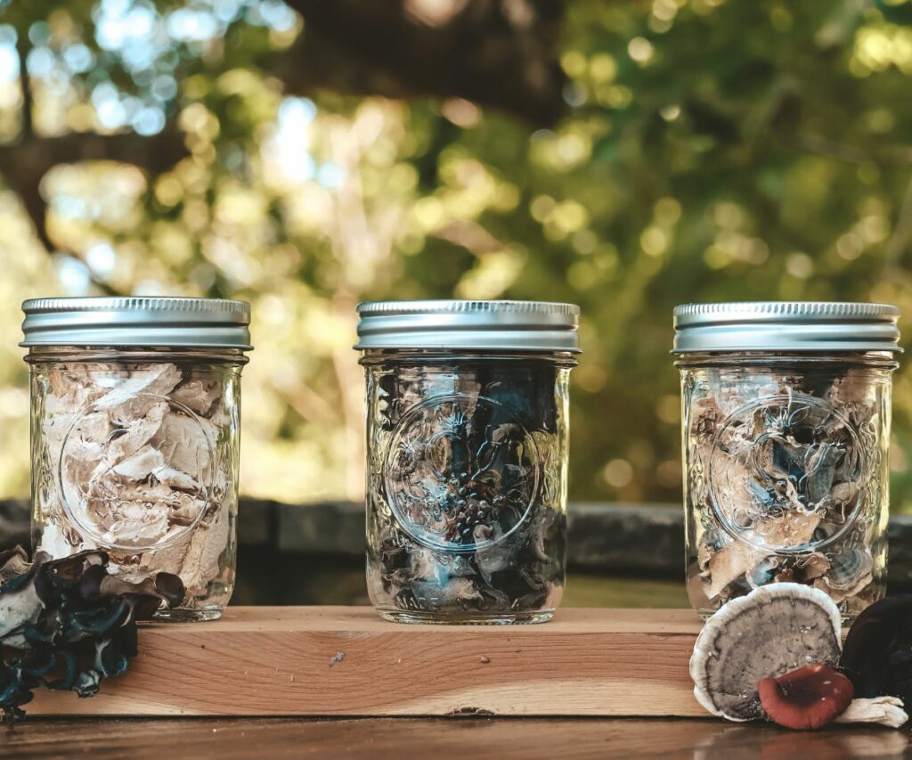 Dehydrate Mushrooms