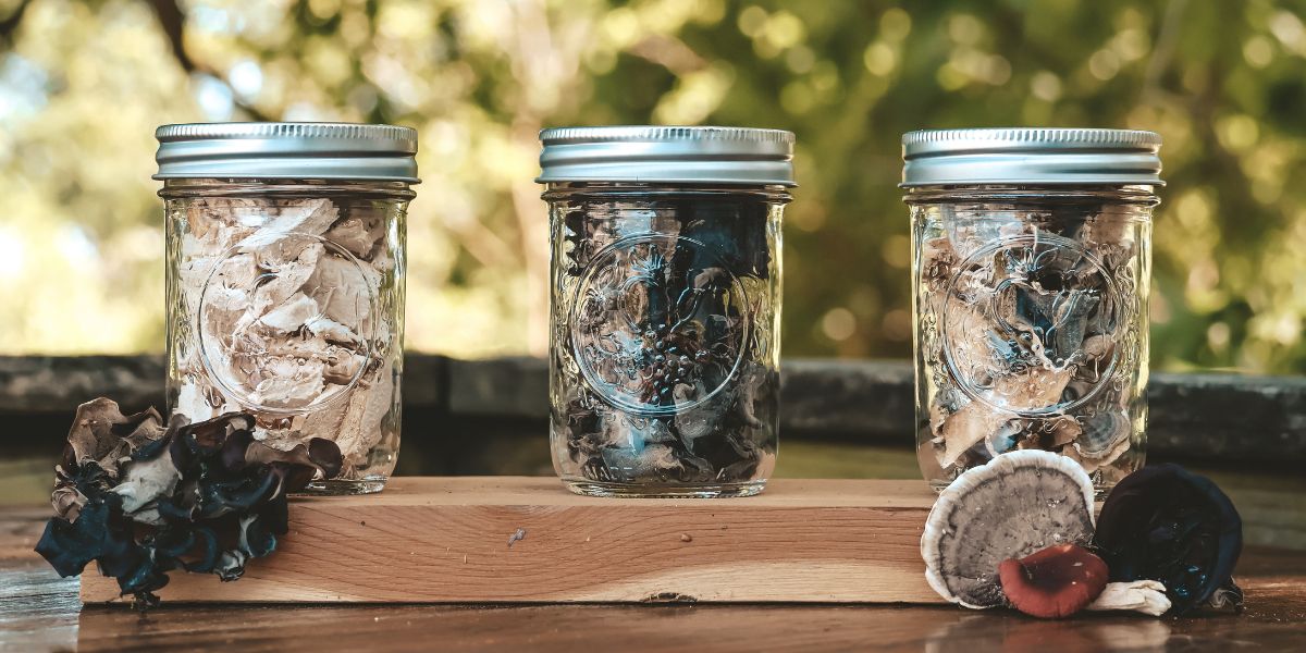 Dehydrating mushrooms