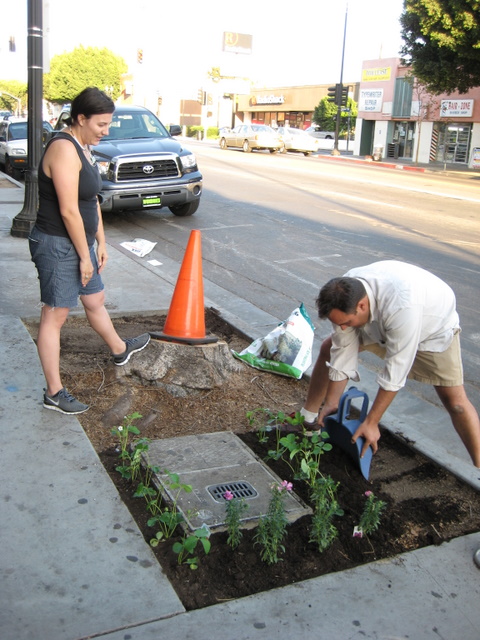 guerilla gardening