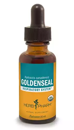 Organic Goldenseal Liquid Extract