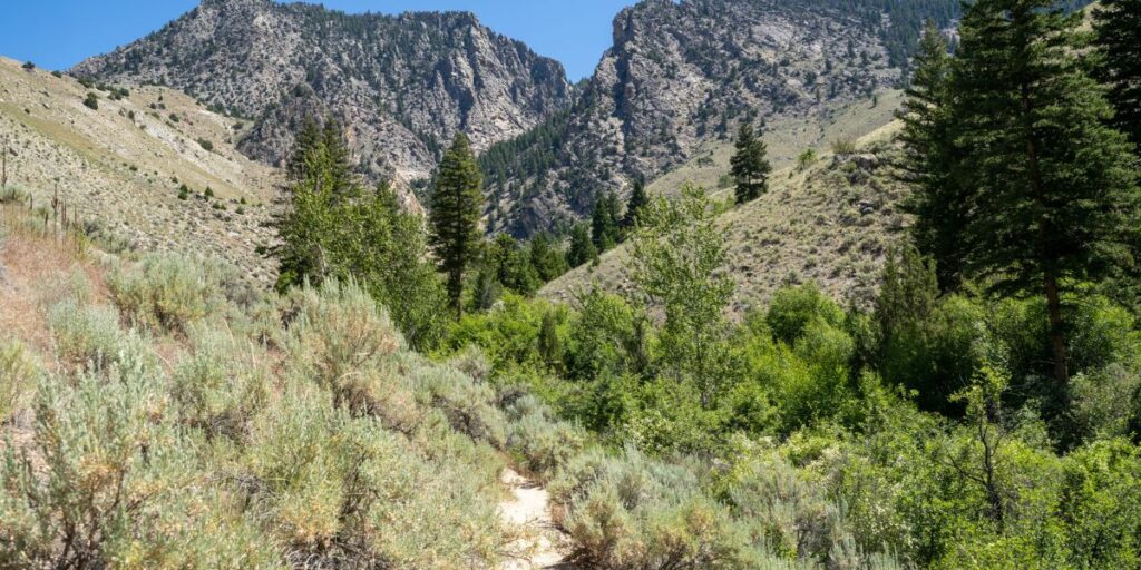 Dirt hiking trail leading to the Goldbug Hot Springs in Idaho