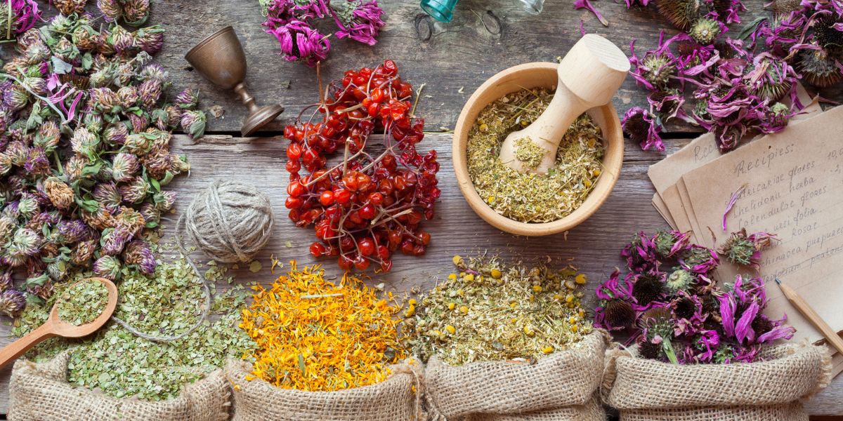 Healing herbs in hessian bags, wooden mortar, and small bottles