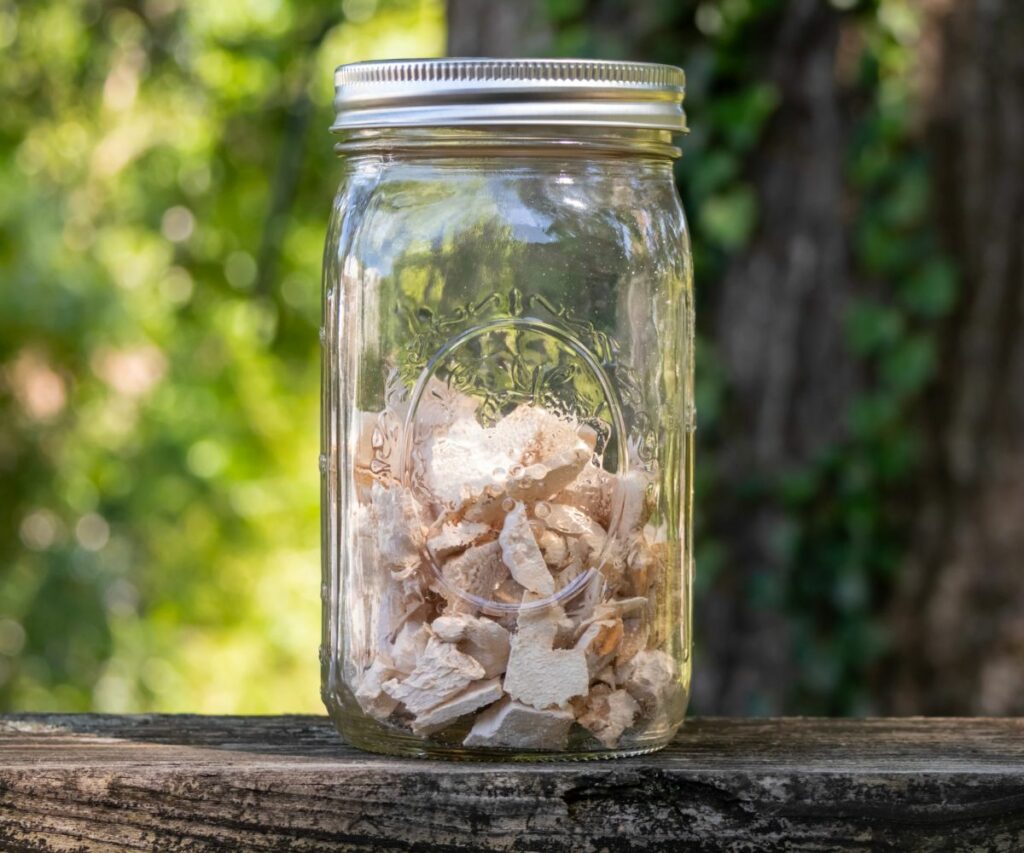 Chicken of the Woods in jar