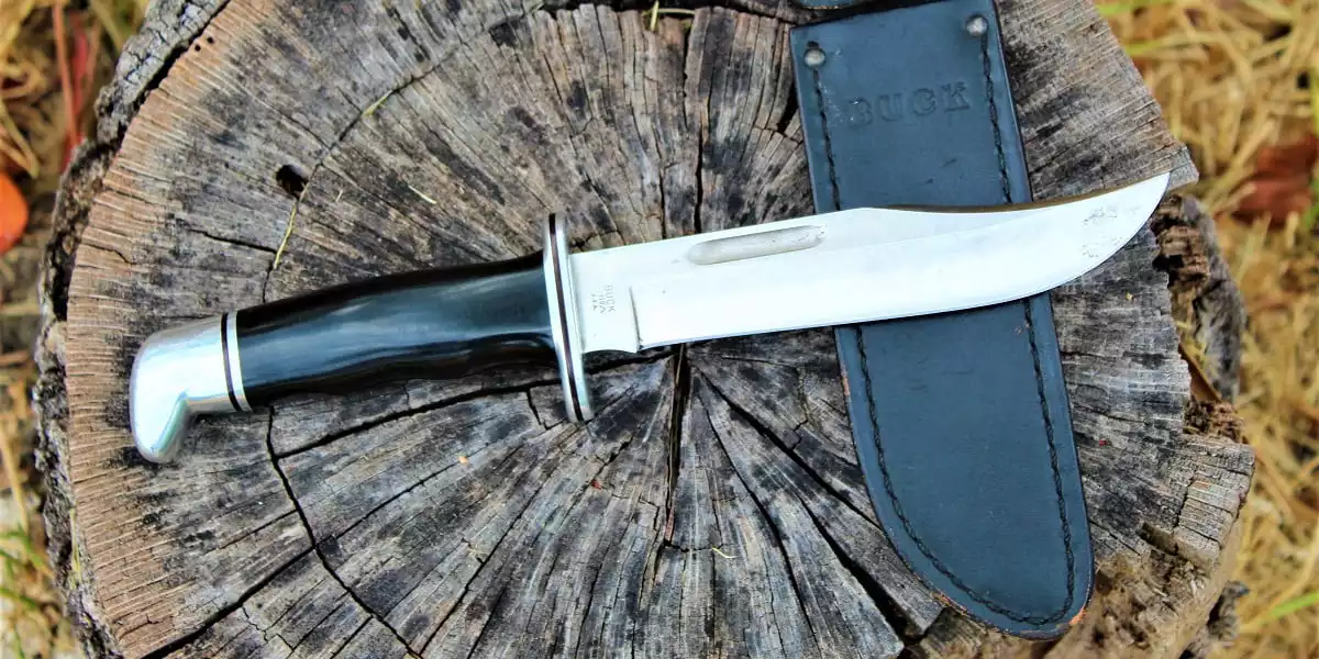 Buck 119 Special Blade
