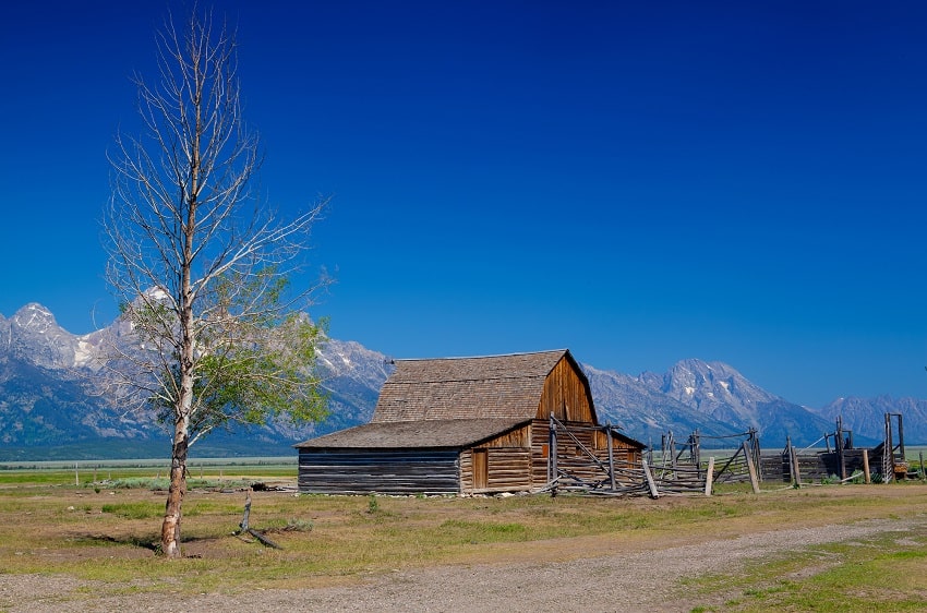 Homestead in USA