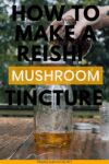 reishi mushroom tincture being poured