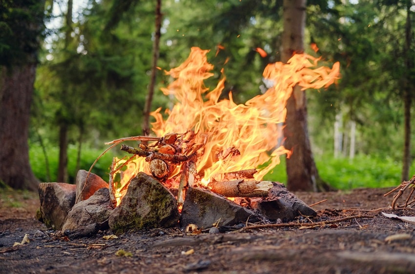 campfire in forest