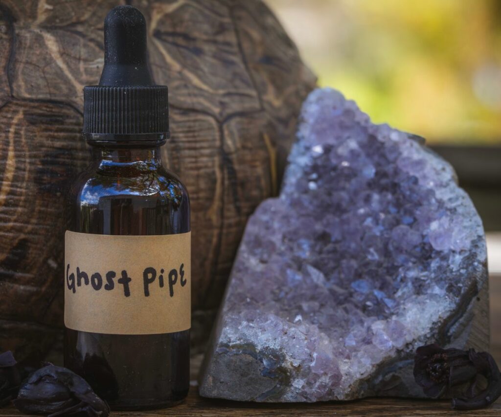 Ghost Pipe tincture