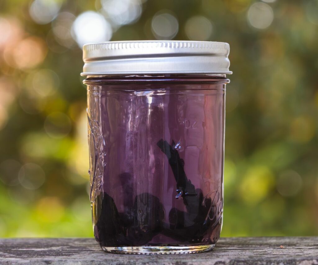 Ghost Pipe in jar