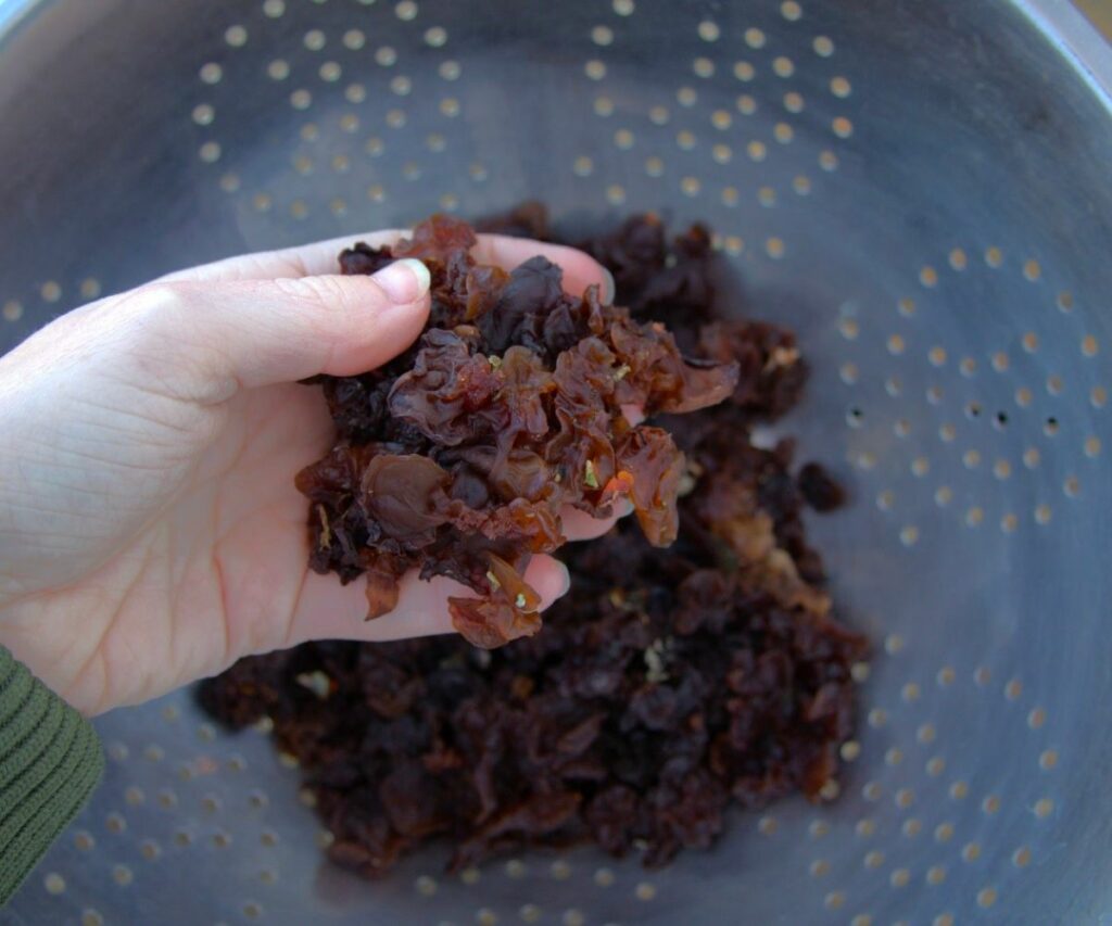 Candying Witches’ Butter