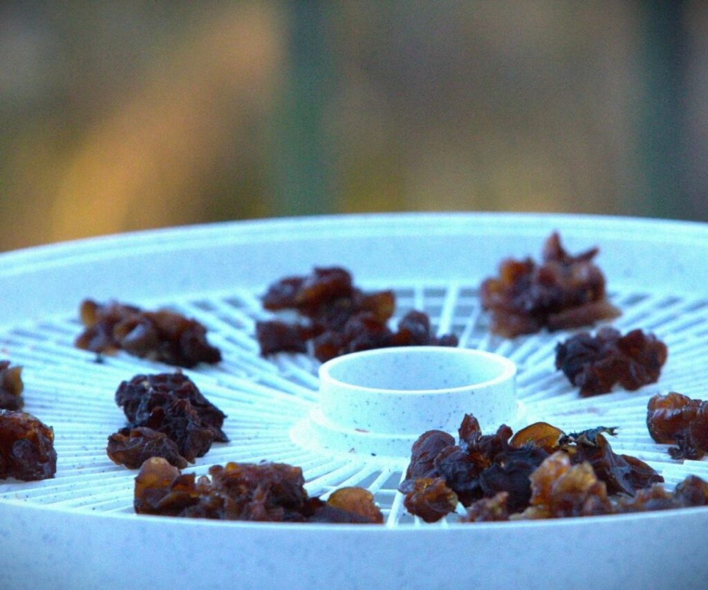 Candying Witches’ Butter