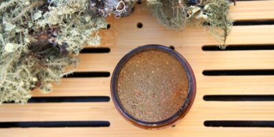 Making Usnea Powder for Your Wilderness First Aid Kit